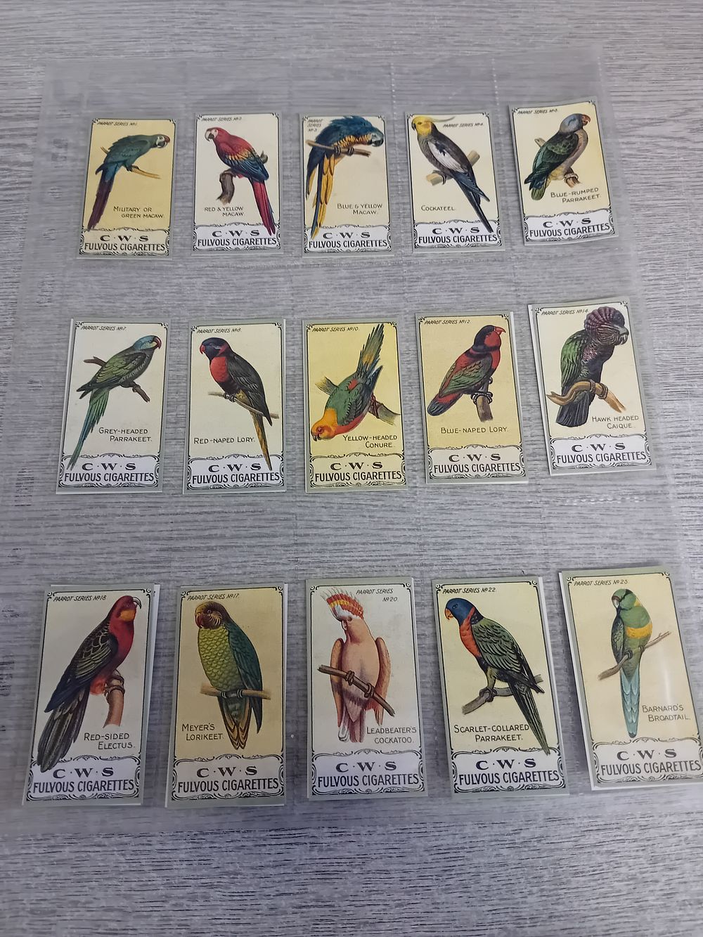 Lot 297: C.W.S Tobacco Factory Fulvous Cigarette cards Parrot series...