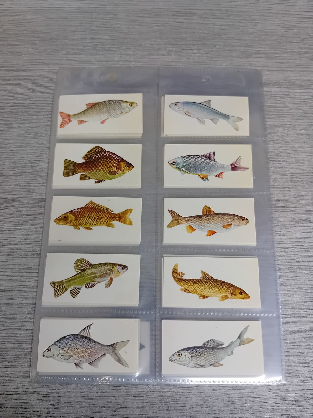Lot 294: Craven Black Cat collectors cards sports fish series...