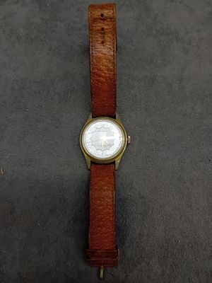 Roxedo Swiss made watch as pictured