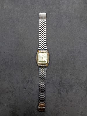 Casio Quartz 306 AQ-307 as pictured