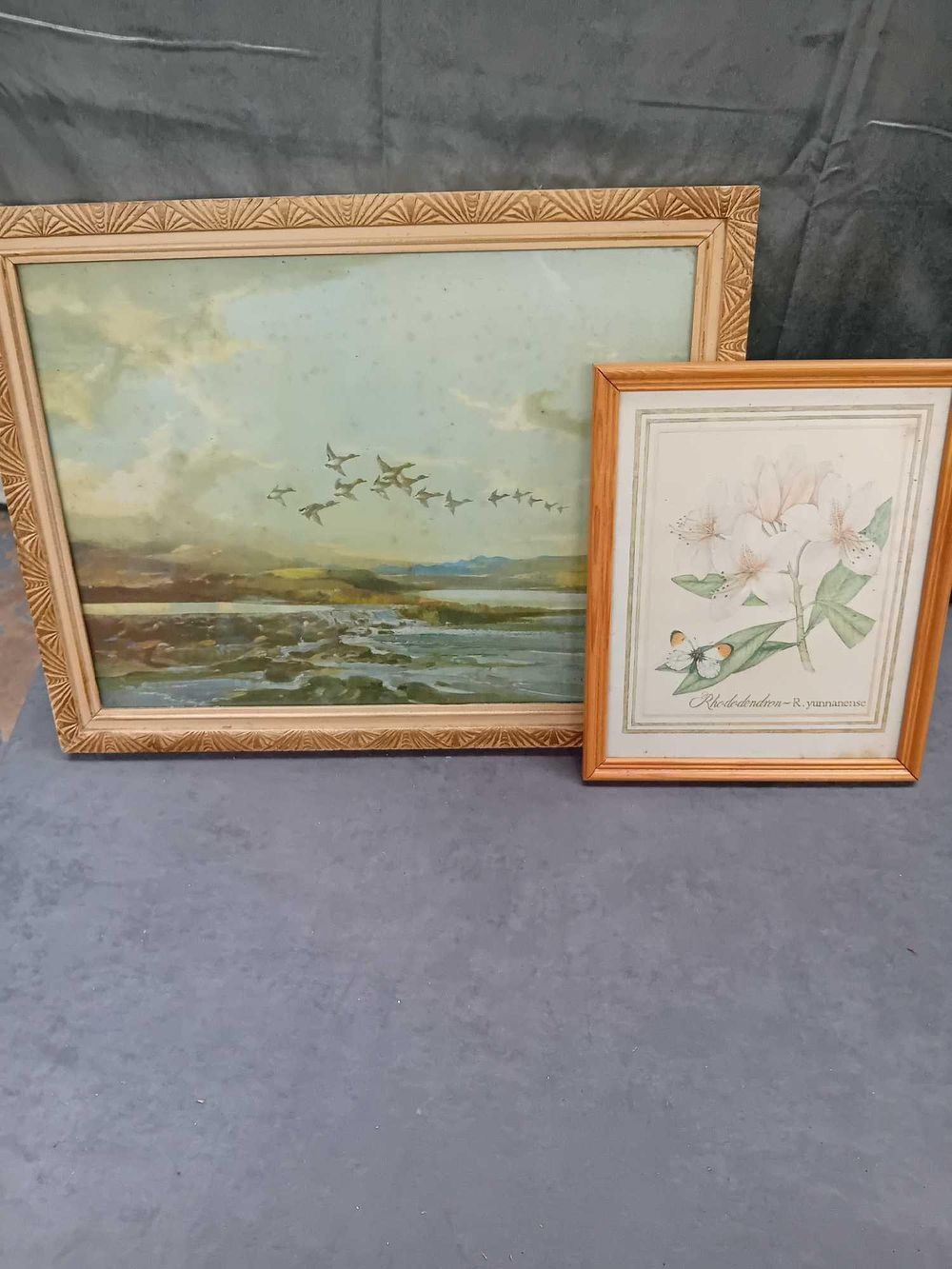 Lot 264: 2 x framed nature prints 1 flower 23cm...