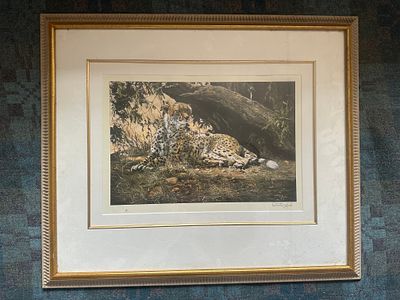 Dorothea Buxton (b. 1945) – ‘Cheetah at Rest’ – Signed Limited Edition Print 
A beautifully 