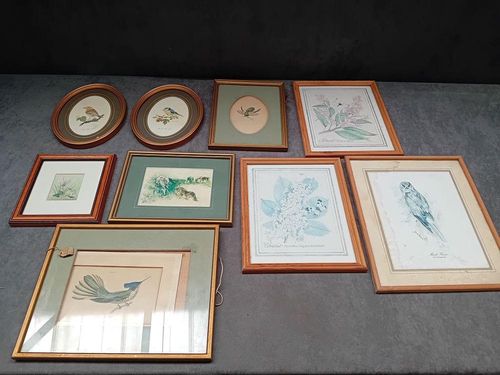 Lot 371: Mixed lot of Framed nature themed Artwork as...