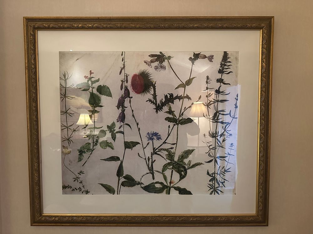 Lot 1519: A Framed Print after Albrecht Durer, 'Eight Studies of Wild Flowers'