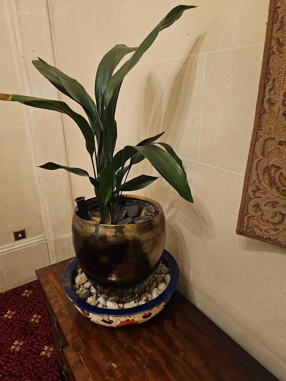 Lot 54: A Cast Iron Plant (Aspidistra Elatior) in a Contemporary Ceramic Planter with a Folk-Art Style Drip Tray