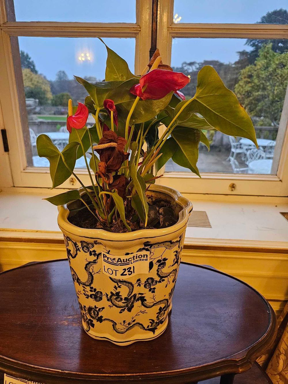 Lot 231: A Potted Red Anthurium Plant in a Chinoiserie-Style Ceramic Planter