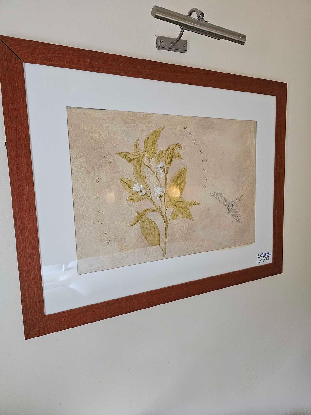Lot 743: Contemporary Framed Botanical Print, Inscribed 'Bergamot'