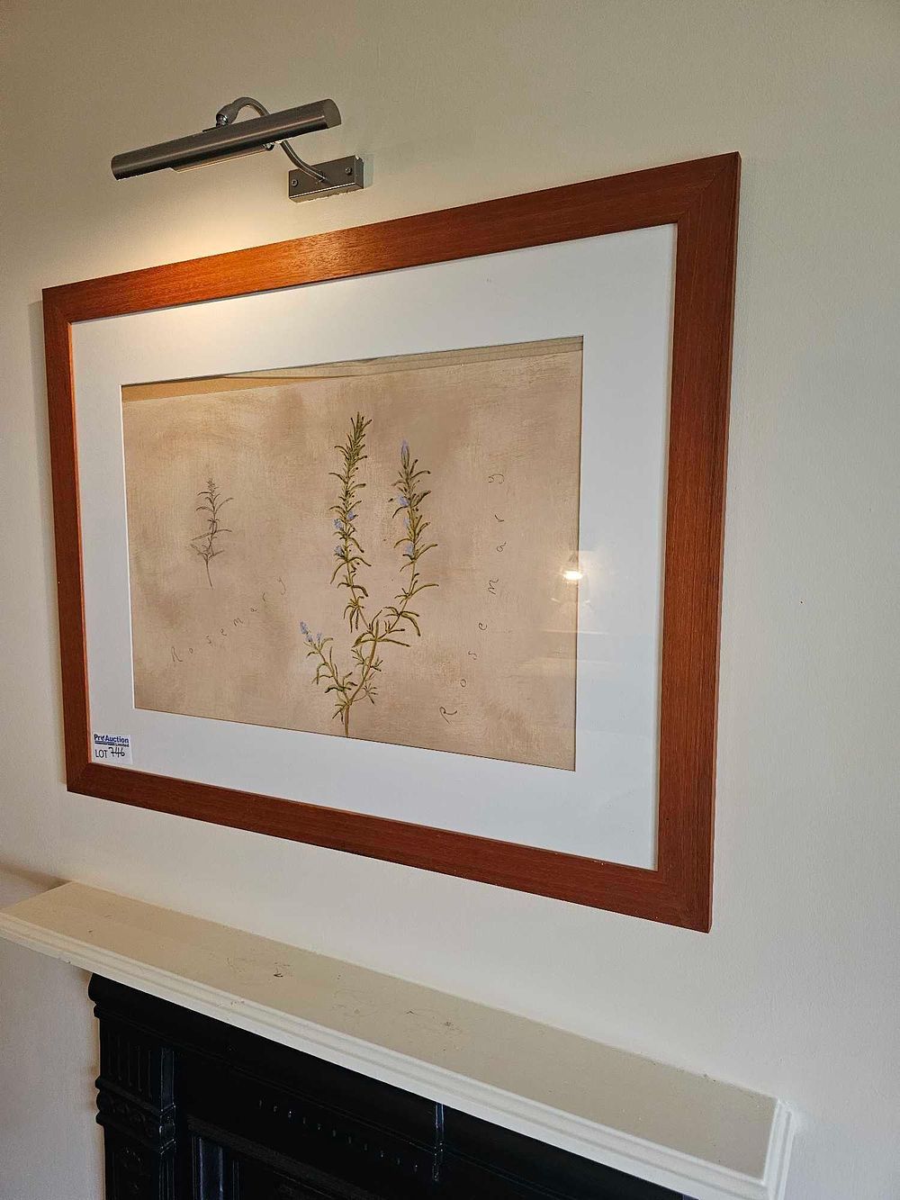 Lot 746: Framed Botanical Illustration of Rosemary