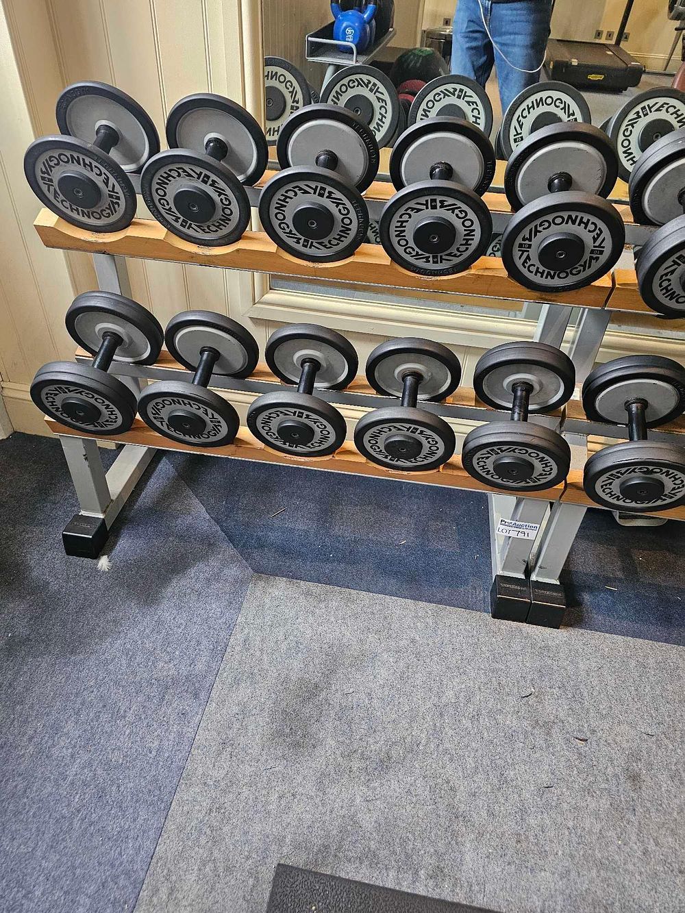 Lot 791: A Set of Technogym Fixed-Weight Dumbbells with a Technogym Two-Tier Lofthal Dumbbell Rack, Made in Italy