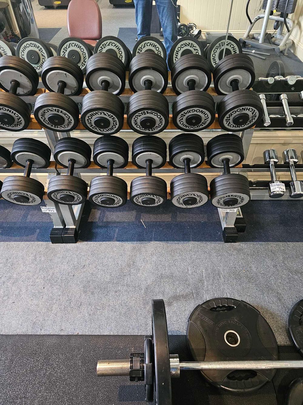 Lot 793: A Set of TECHNOGYM Fixed-Weight Dumbbells on Rack, with ESCAPE Barbell and Weight Plates