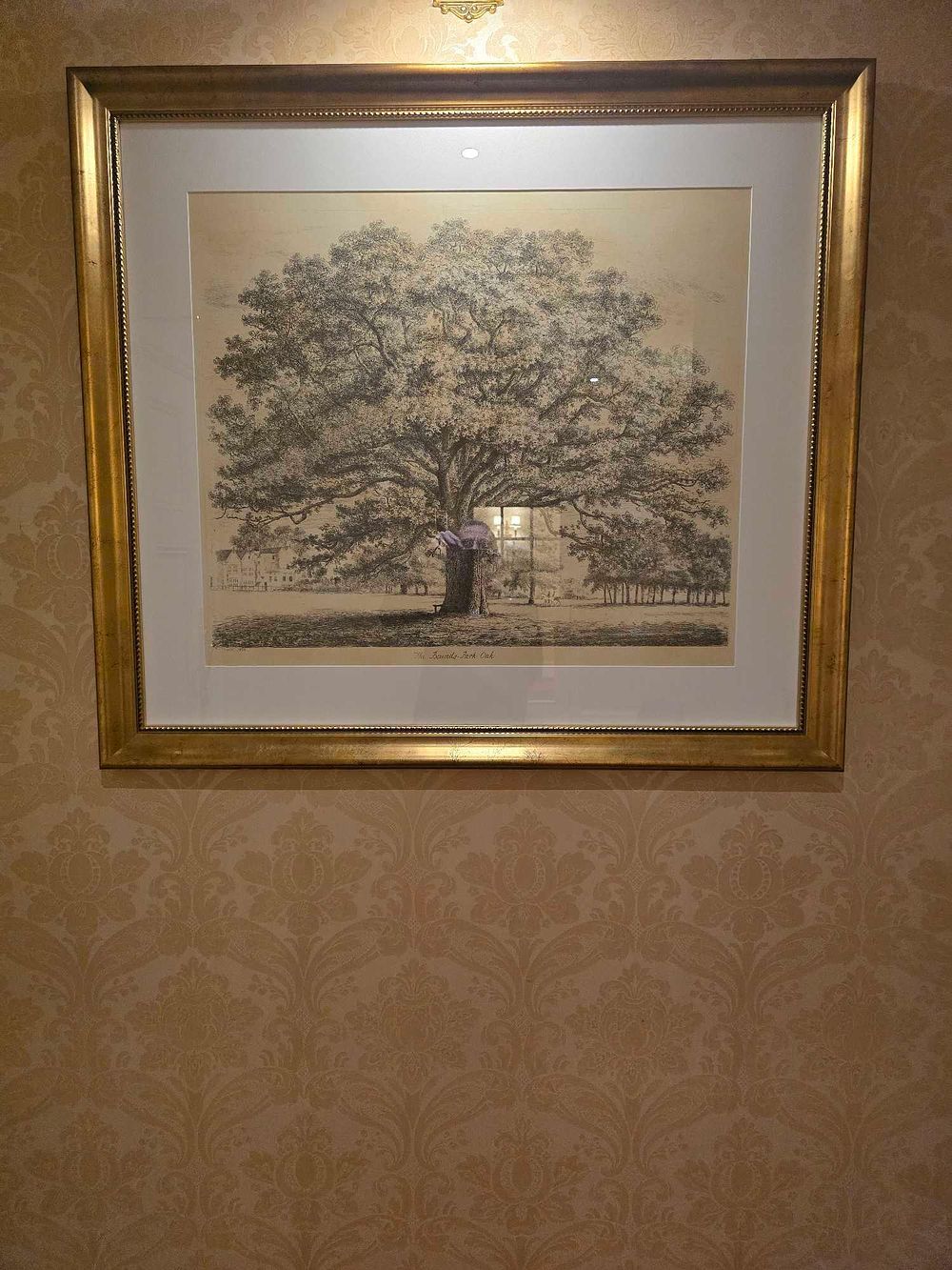 Lot 2084: A Late 19th-Century Print After Jacob George Strutt, 'The Bounds-Park Oak', Signed 'T.C.S.' and Dated 1888