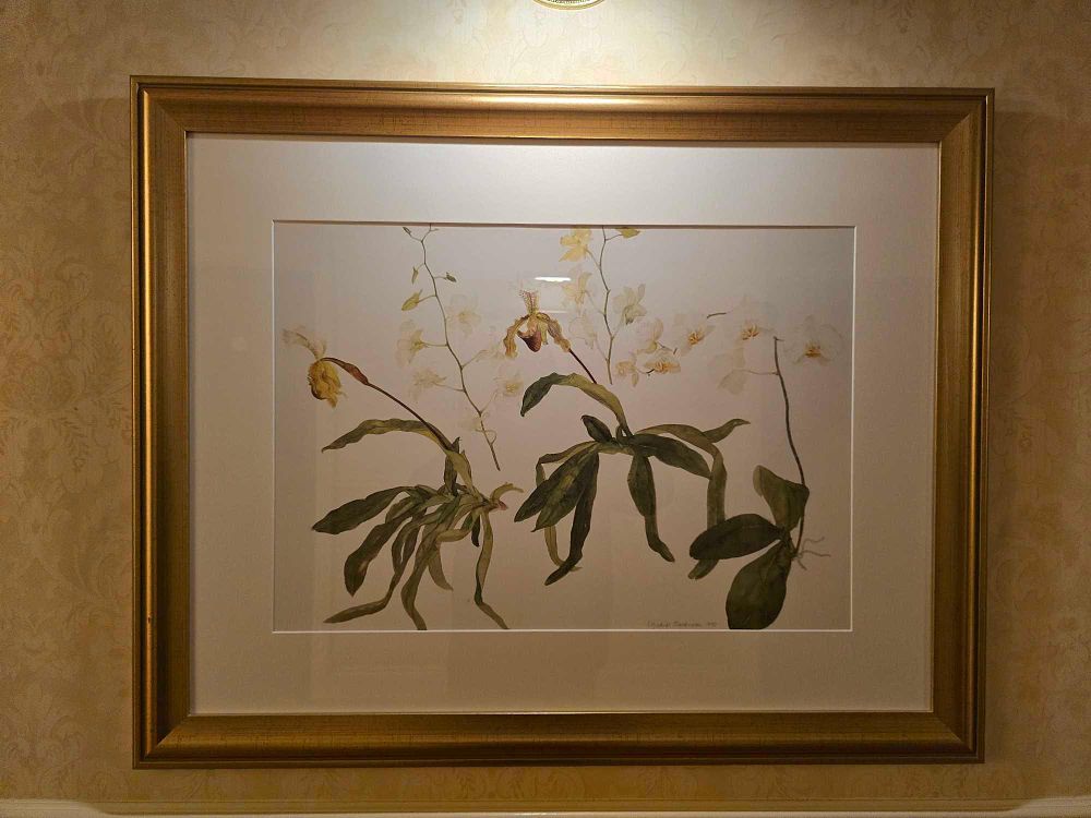 Lot 2248: Elizabeth Blackadder Botanical Study of Orchids, 1993