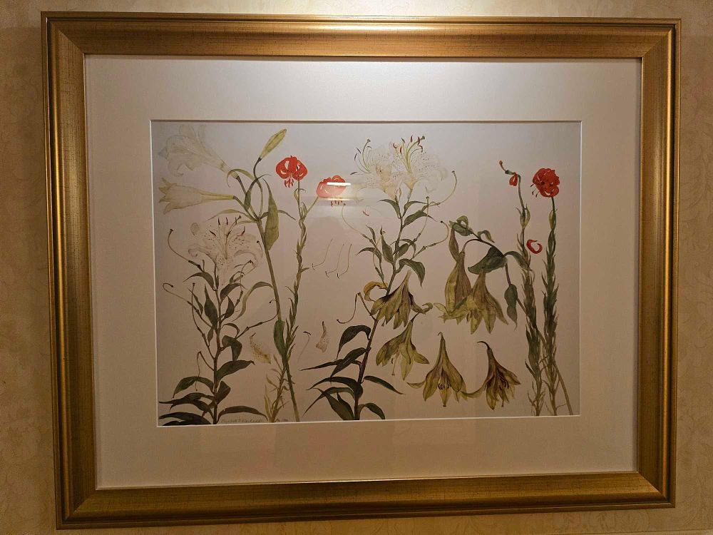 Lot 2253: Elizabeth Blackadder, 'Lilies, Auratum, Nepalense, and Chalcedonicum' Art Print