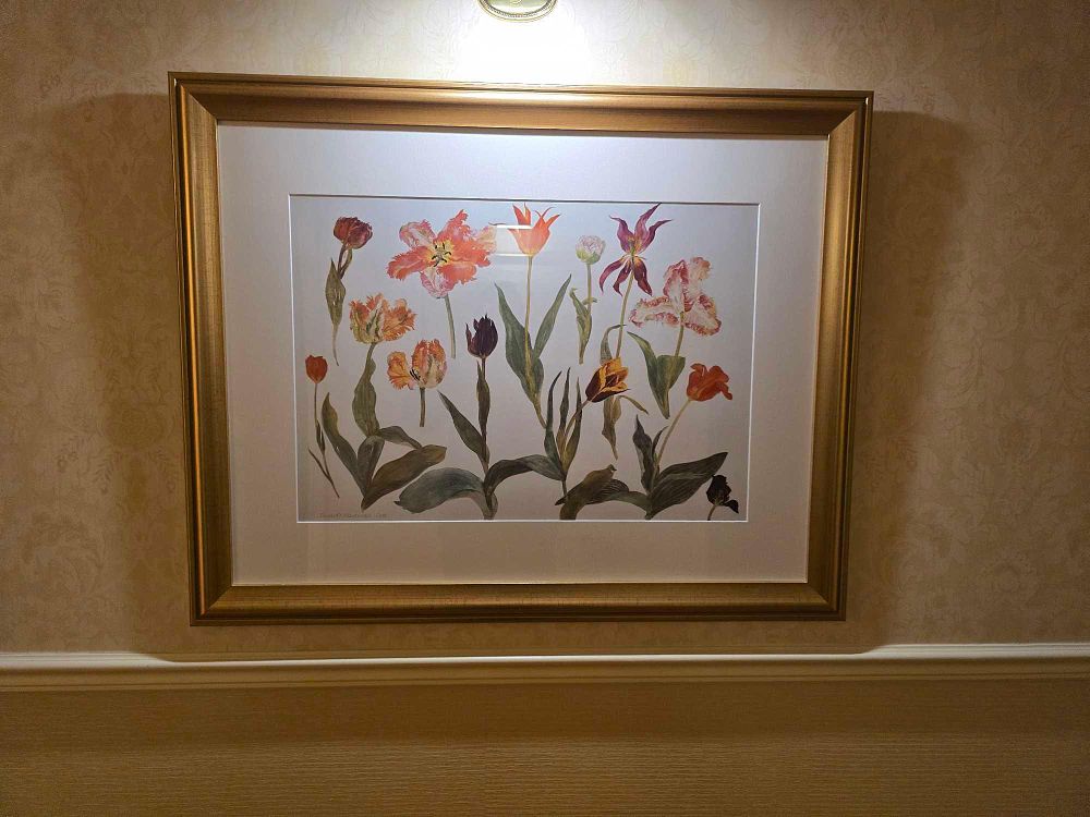 Lot 2270: A Framed Botanical Illustration of Tulips, Signed Elizabeth V Blackkennis, Dated 2000