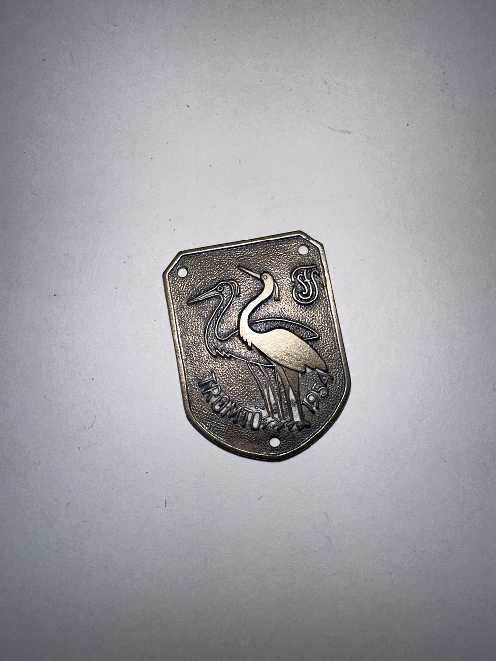 Lot 444: 1954 Finnish Girl Guides Stick Badge Tromto Rare! 