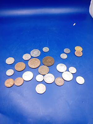 A Collection of 22 Assorted World and British Commonwealth Coins. A collection of 22 individual 