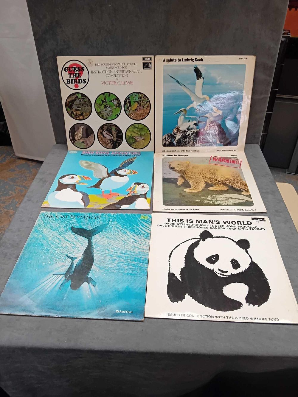 Lot 171: 10 x animal related vinyls as pictured