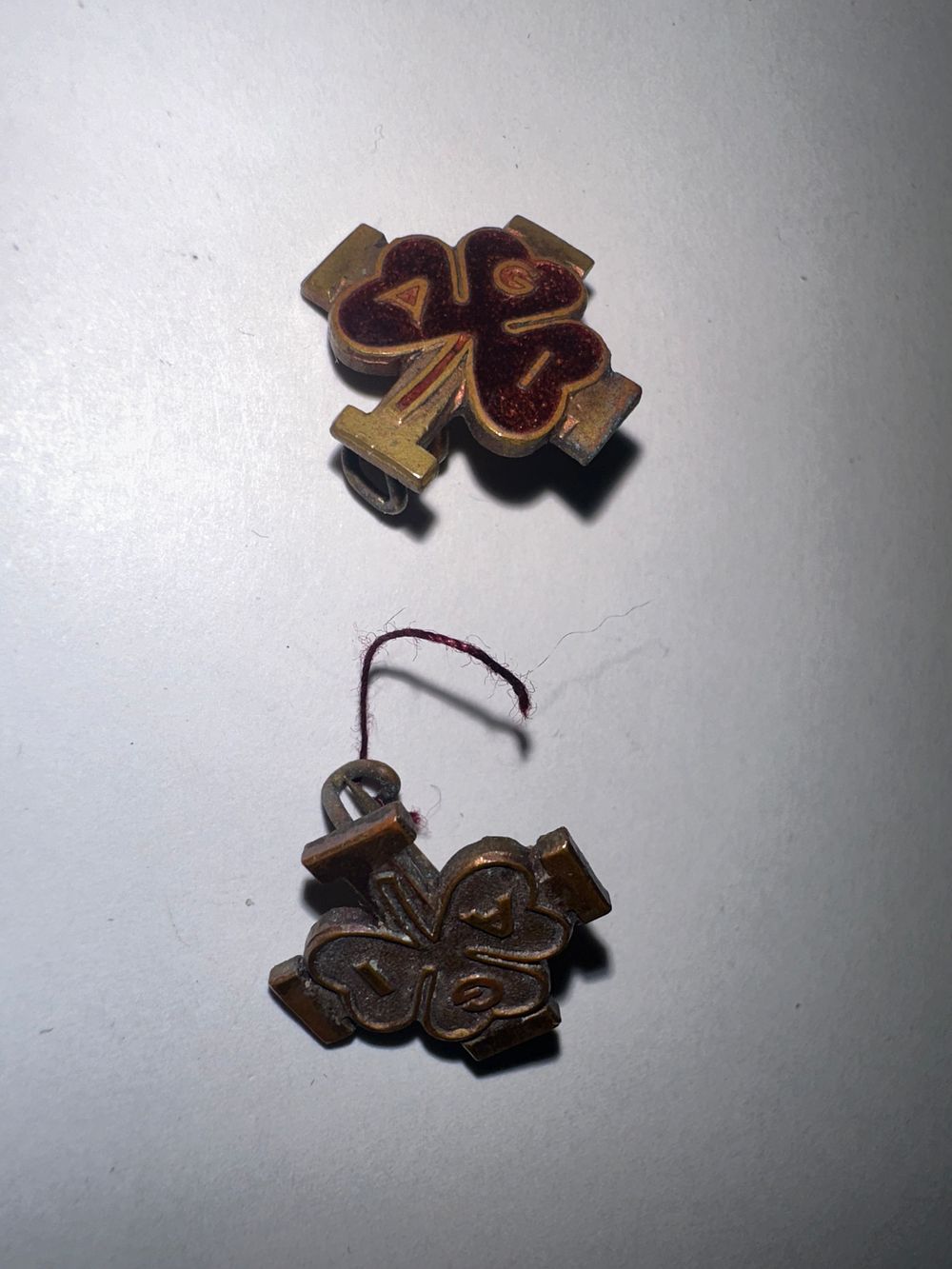Lot 161: Rare Rarly Italian Guides and Ranger Badges 