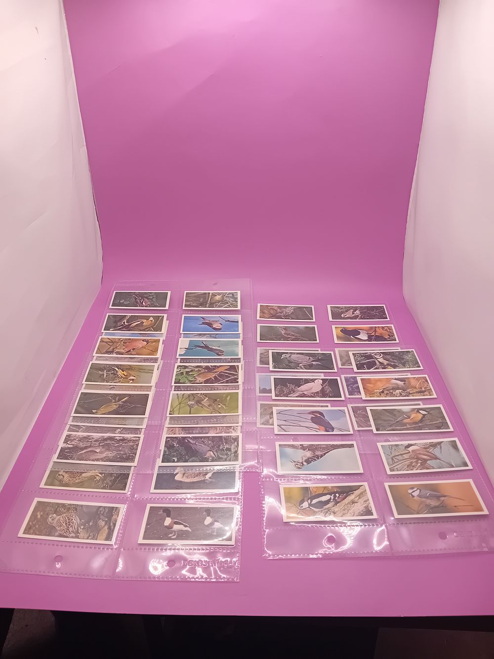 Lot 188: Cigarette Cards Craven Black Cat British birds Complete...