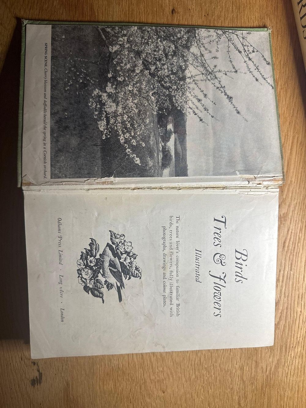 Lot 264: Lot of 4 bird books. Birds of the...