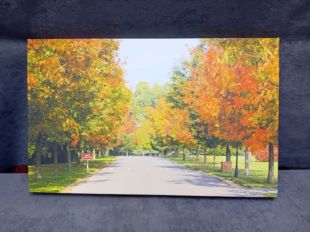 Lot 1002: Contemporary Photographic Canvas Print of an Autumnal Road Landscape