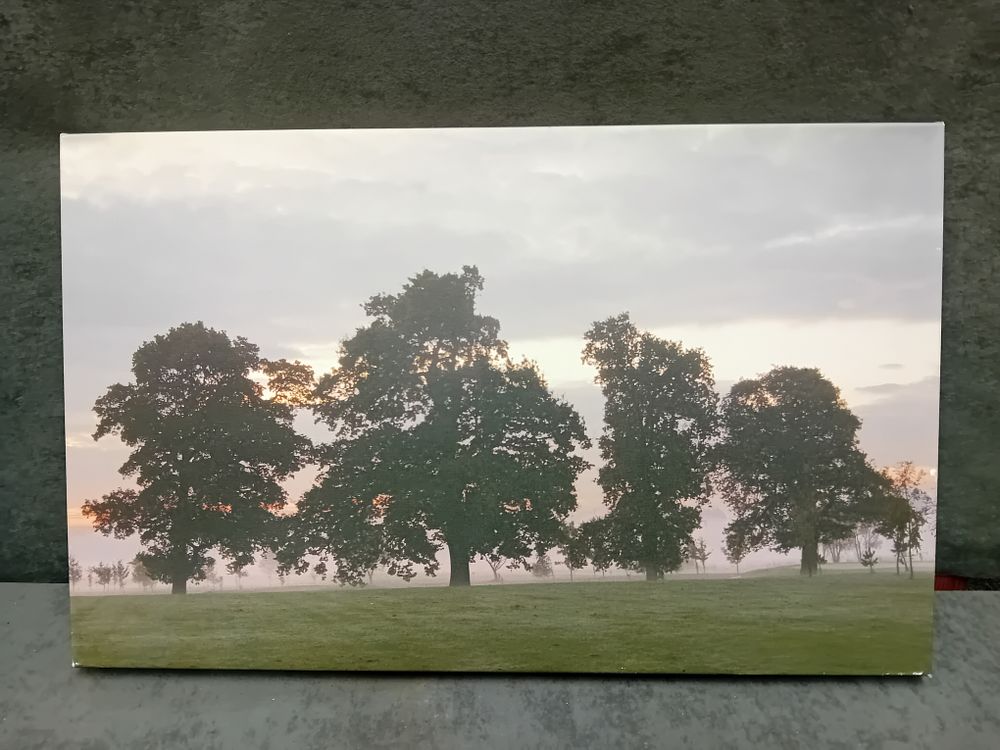 Lot 1004: Contemporary Digital Pigment Print on Canvas, Misty Landscape with Trees
