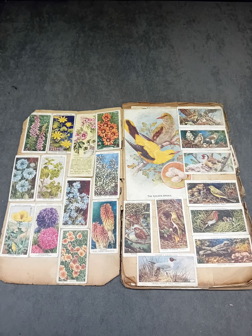 Lot 558: A Vintage Scrapbook of Player's and Wills's Cigarette Cards, Early to Mid-20th Century