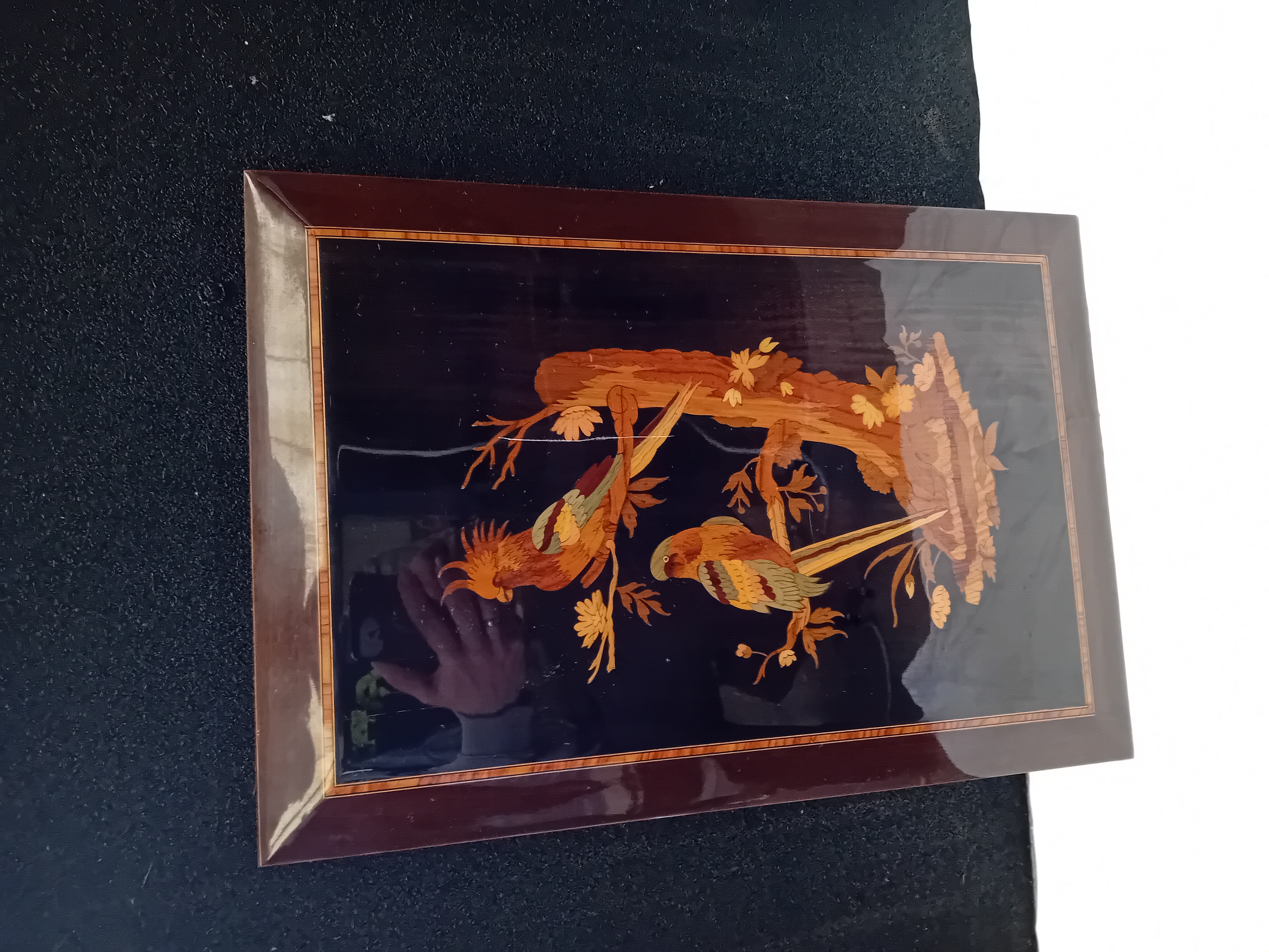 Italian Style Wood Marquetry Panel Depicting Parrots