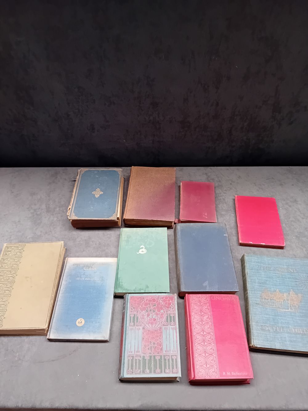 Lot 208: A Collection of 11 Vintage and Antique Cloth Bound Books