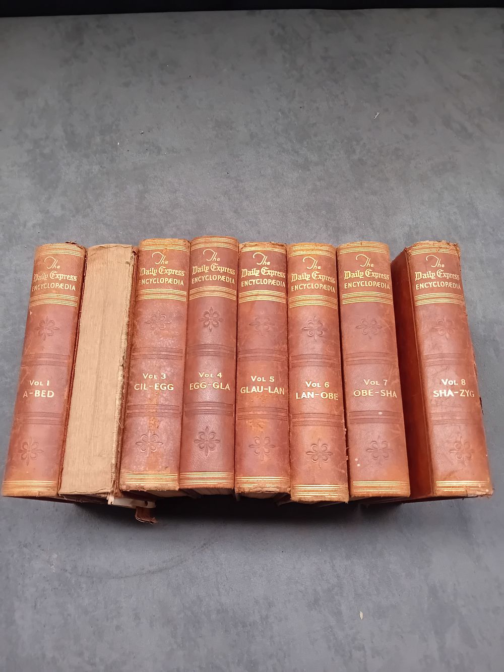 Lot 231: A Collection of 8 Volumes of The Daily Express Encyclopædia, 1934