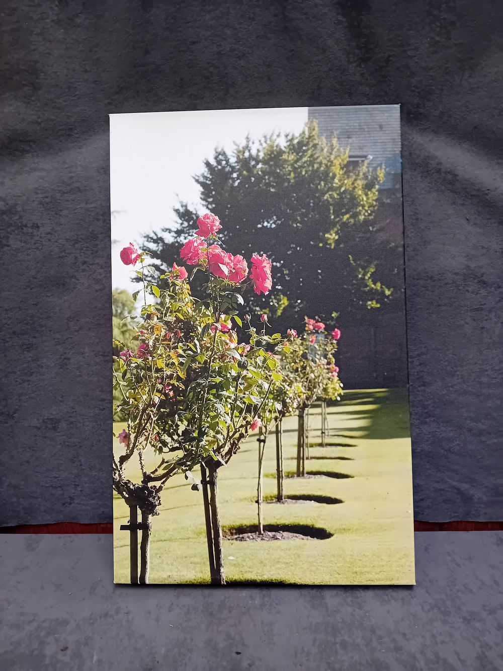 Lot 711: Giclee Print on Canvas Depicting a Rose Garden Attributed to Friedrich Strauss