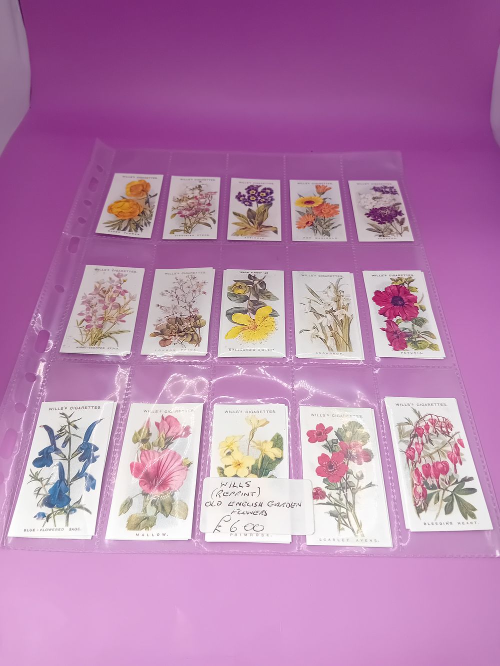 Lot 552: Cigarette cards Wills's Cigarettes Old English Flowers there...