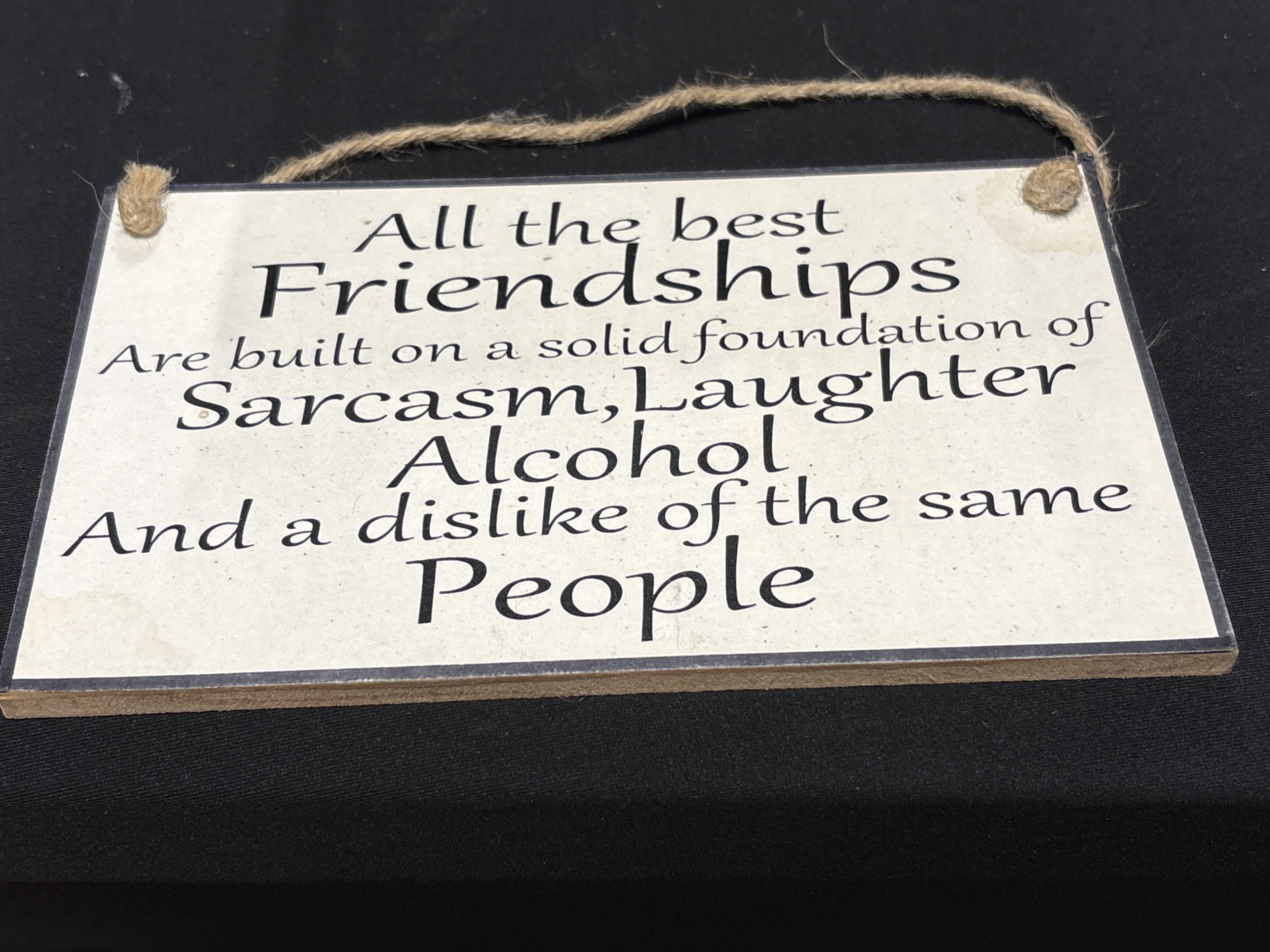 Contemporary Wooden Hanging Novelty Plaque with Humorous Friendship Quote