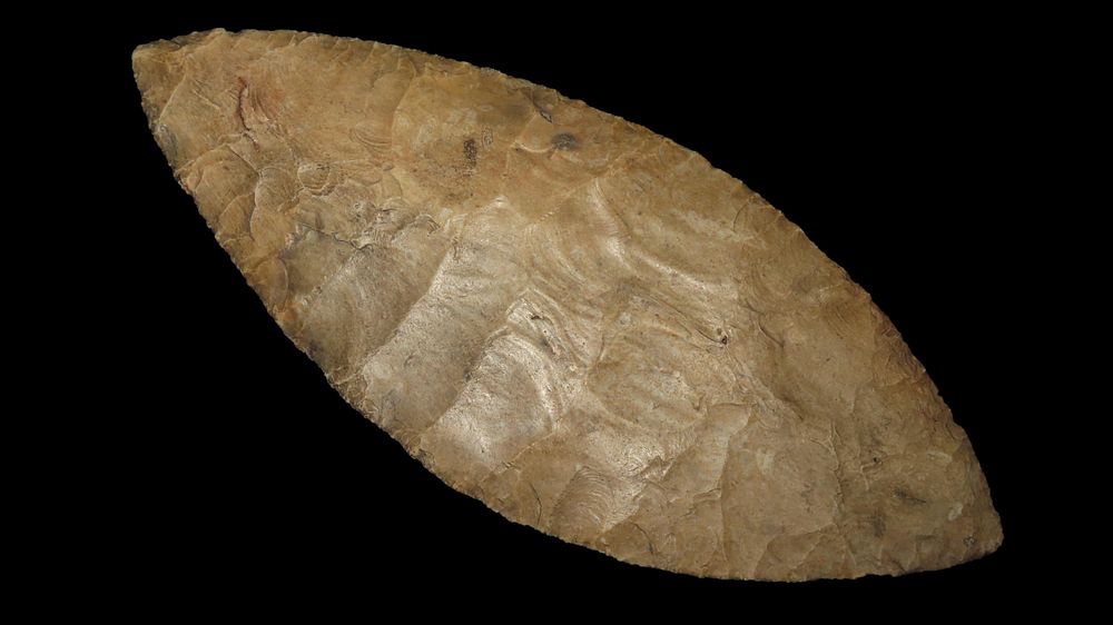 Heartland Artifact Auctions Inc | Fantastic Native American & Pre-Columbian Artifact Auction