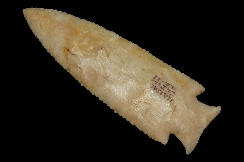 Native American & Pre-Columbian Artifact Auction