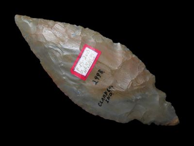 Lot 217 5 1/8 quot Turkey tail from Clark Co Indiana Ex Bruce Filbrandt
