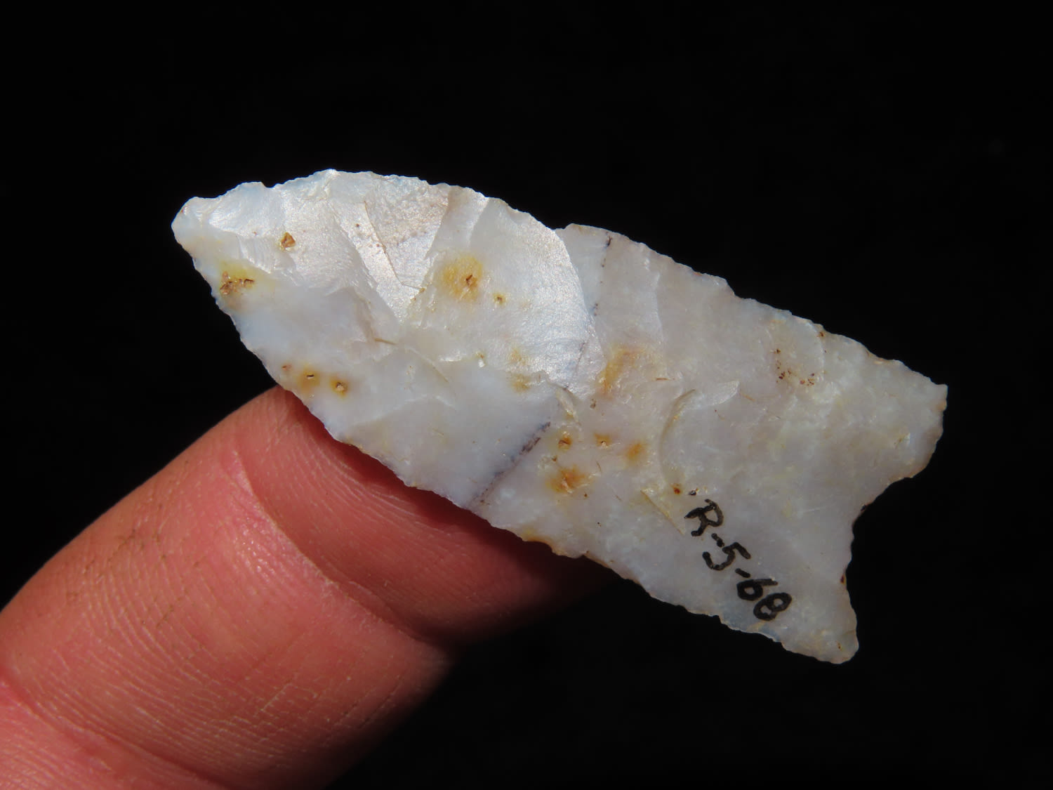 Lot 131 1 9/16" Plainview, Stermer COA, Nice Translucent Chert