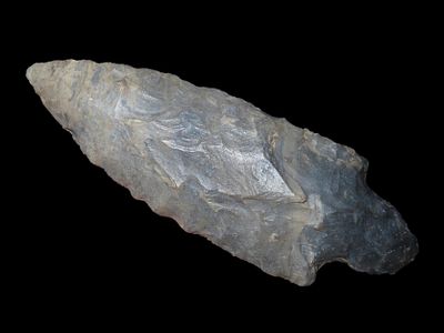 3 7/8" Turkey Tail Posey Co. Indiana EX Randall May