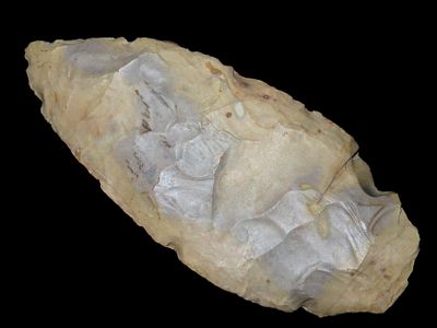 5 1/2" Blade, Central Kentucky EX Randall May