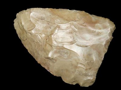 4" Blade, Central Kentucky EX Randall May