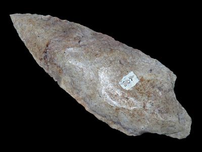 4" Marion, Florida, EX Randall May