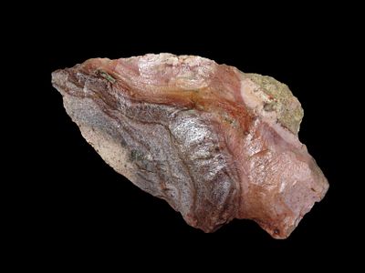 2 1/2" Newman, Florida, EX Randall May