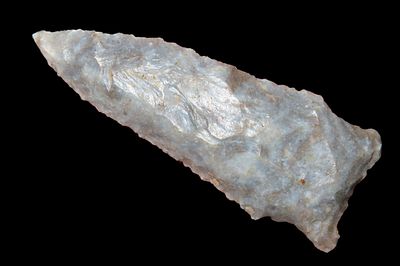 2 5/8" Suwanee River Florida, EX Randall May