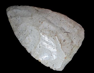 5 1/2" Blade Found in Florida, EX Randall May