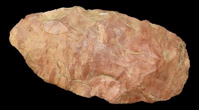 3 1/16" Blade from Hardin County, Tennessee.Auctioning as Authentic & Unaltered