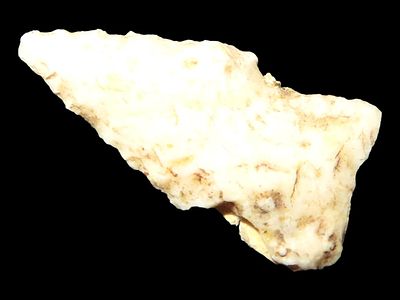 7/8" Bird Point from Illinois.Auctioning as Authentic & Unaltered