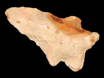 2"+ point from Tennessee.Auctioning as Authentic & Unaltered