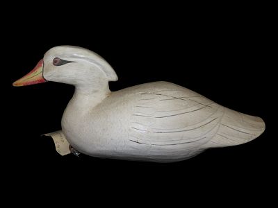 14 1/2" Hand carved and painted decoy- "Albino" Wood Duck.