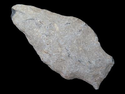2 5/8" Square Stem Pt., Wisconsin