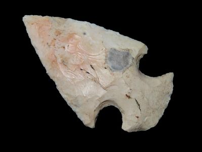 Motley - 2 ½” L x 1 ½” W, Pike County. Illinois